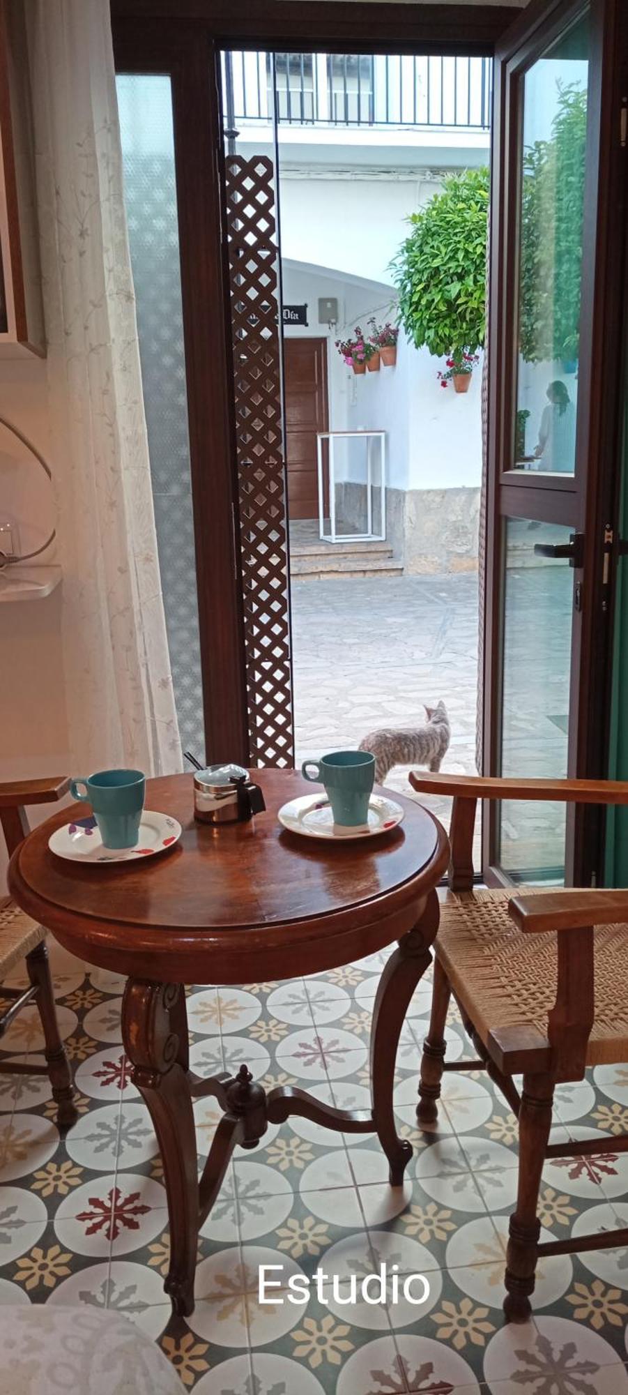 El Detalle Apartamento Y Estudio Zahara De La Sierra Dış mekan fotoğraf